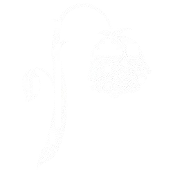 Redo Product Image