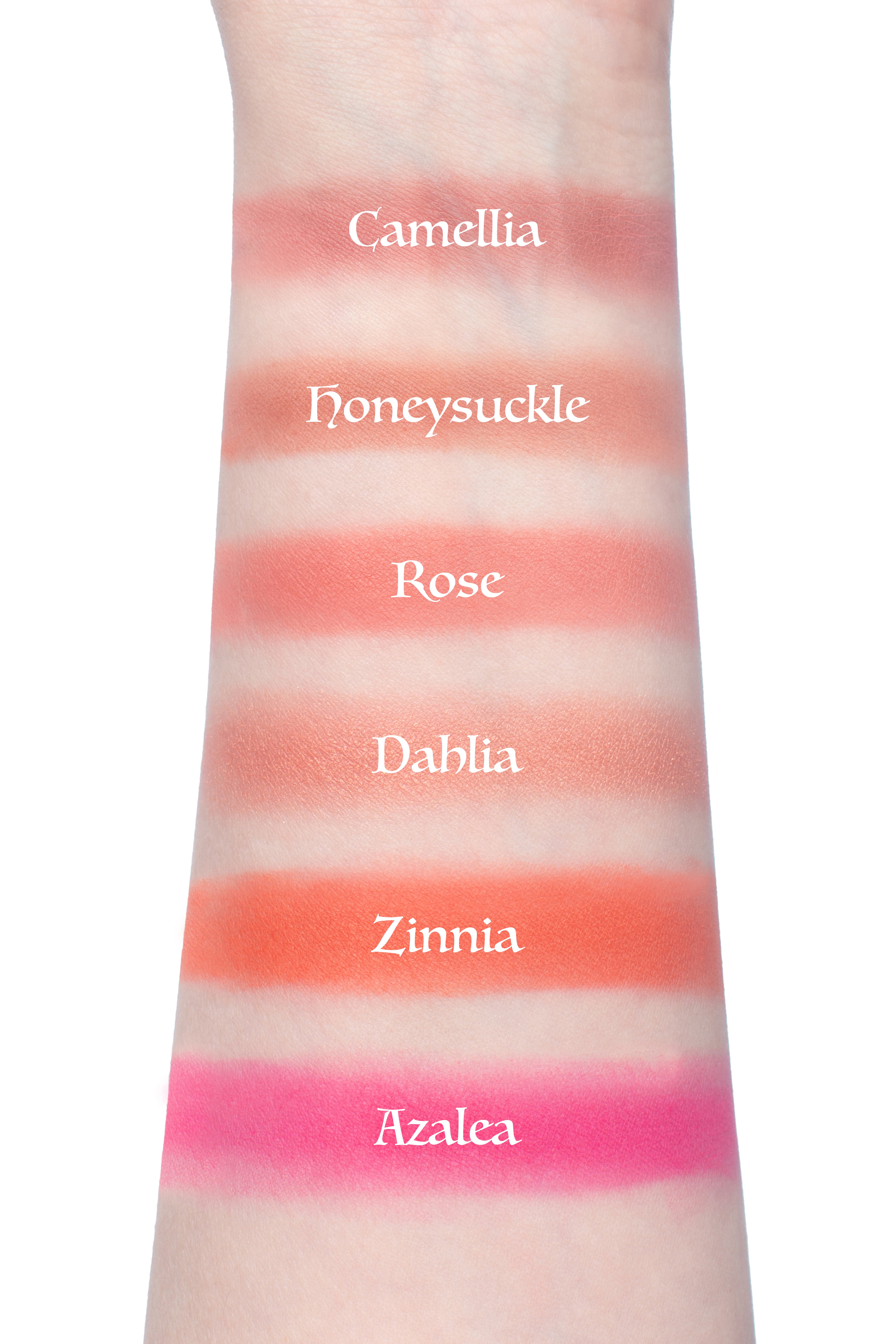 our darling blush swatches